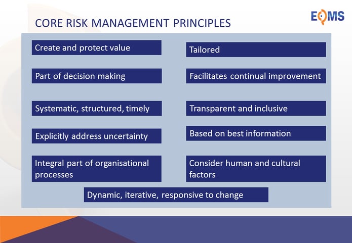 Core risk management principles PNG.png