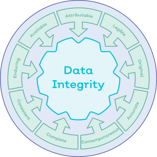 Data Integrity-1