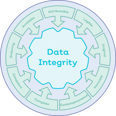 Data Integrity-1