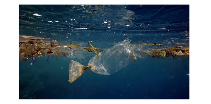 plastic pollution